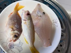 -小猫钓鱼海钓俱乐部(椰梦长廊店)