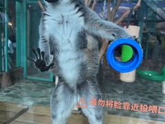 -哈尔滨极地公园