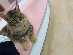 -1013 PET SHOP 宠物商店(近铁城市广场店)