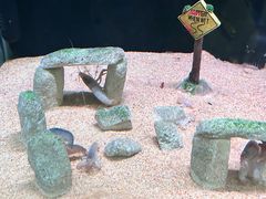 -南昌融创海世界