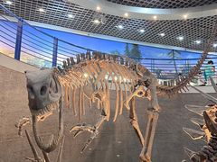 -国家自然博物馆