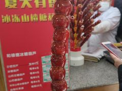 -和禄德冰糖葫芦