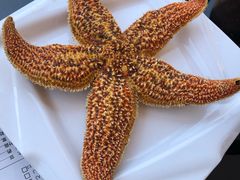 -大锅强·蒸海鲜青岛菜(吾悦广场店)