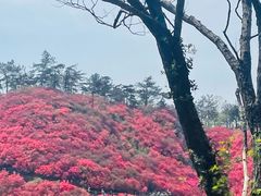 -木兰云雾山
