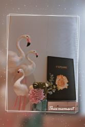 -INNEREAL英妮芮医疗美容