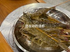 -盈田盈粥庄(博山东路店)