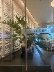 -VELEE·SPA高定疗愈会所