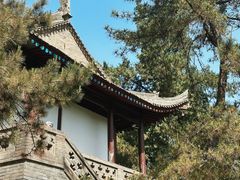 -大慈恩寺(大雁塔)