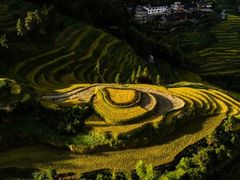 -紫鹊界梯田景区