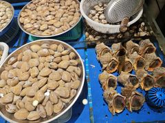 -喜来酌海鲜·饺子(和平一店)