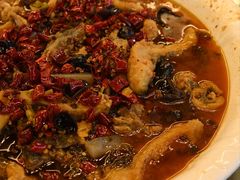 -龙翔山庄雷鸡肉(青城后山泰安古镇店)