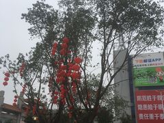 -白水带风景区体育公园