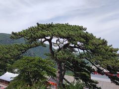 -妙峰山风景名胜区