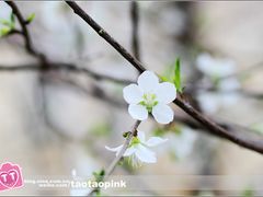 -哈尔滨师范大学(江南校区)
