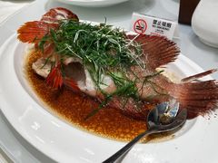 -将军烧鹅海鲜酒楼