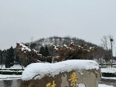 -洛阳古墓博物馆