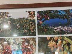 -婆婆家·湛江特色美食(福田振华路店)