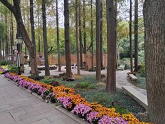 -上海醉白池公园