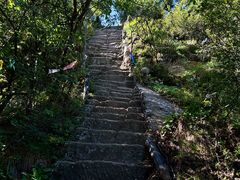 -太平万花山景区