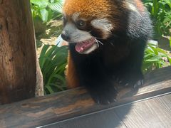 -北京野生动物园