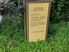 -大连金石滩绿发温泉假日酒店