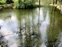 -兰亭风景区