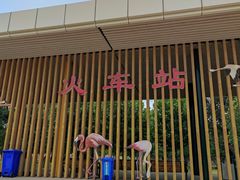 -秦皇岛野生动物园