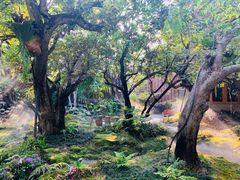 -Chom Cafe and Restaurant