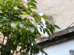 -甲乙丁書店·书茶咖·四合院