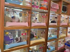 -宠物兔专门店(天丰利市场店)