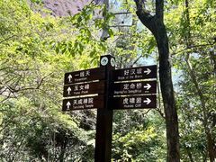 -武夷山风景名胜区-玉女峰
