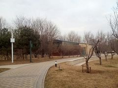 -五环公园