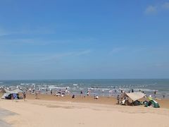 -日照海滨国家森林公园