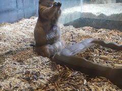 -合肥海洋世界