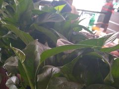 -陈府大宅门成都火锅·手切鲜肉(太原街店)
