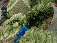 -上海龙吴水胜海发市场