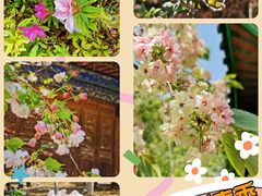 -黑龙潭公园