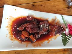 -院8里·少城记忆老川菜(宽窄巷子店)