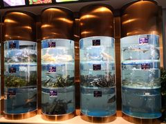 -香坝坝鲜鱼火锅(春熙路店)