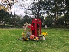 -杭州花家山庄