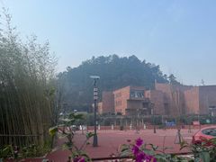 -乐山市博物馆