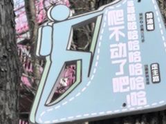 -帽儿山风景区