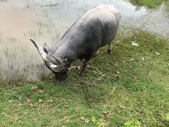 -班拉雅潜水度假村