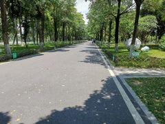 -海珠湖公园