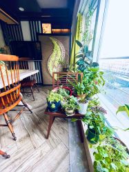 -青青一生美皮肤管理