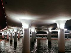 -演武大桥观景平台