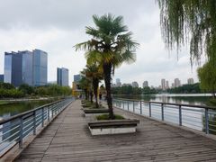 -白塘生态植物园