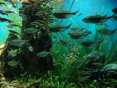 -太平洋海底世界