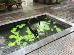 iphone_upload_pic-T館·花园艺术餐厅