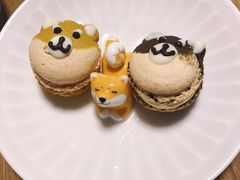 柴犬造型马卡龙-柴务处·柴犬主题狗咖